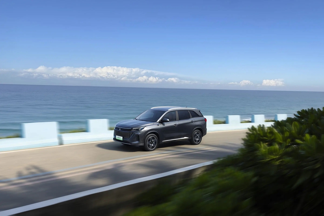 Moderno Design Mediano tamanho E5 Seres Carro Elétrico / All Wheel Drive EV SUV