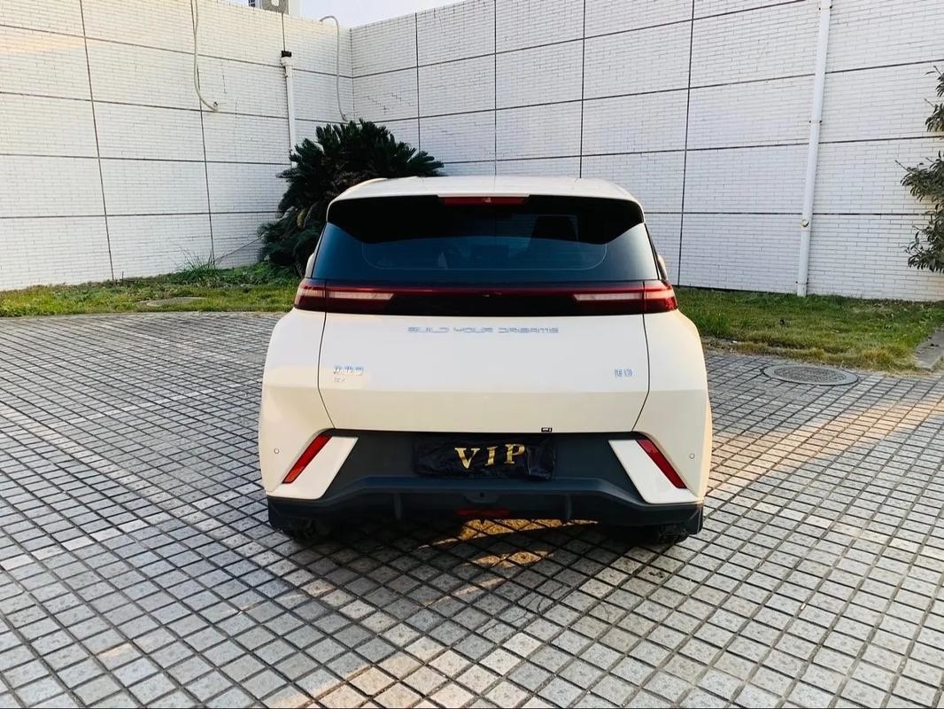Byd Seagull 2024 Honor Edition 305km Edição Gratuita Carro Elétrico Veículos de Nova Energia